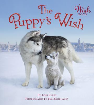 The Puppy's Wish(English, Board book, Evert Lori)