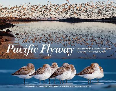 Pacific Flyway(English, Paperback, Benedict Audrey Delella)