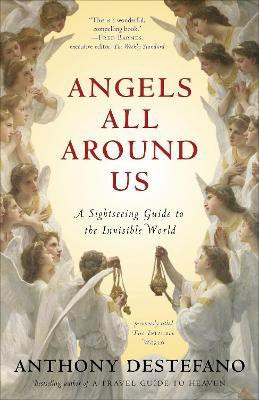 Angels All Around Us(English, Paperback, DeStefano Anthony)