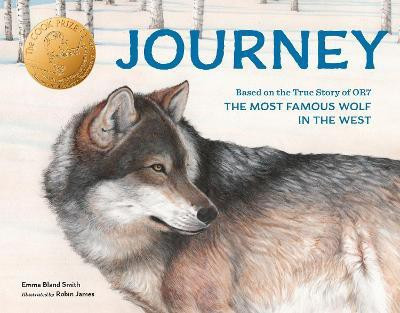 Journey(English, Paperback, Smith Emma Bland)
