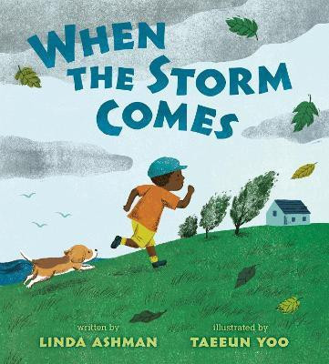 When the Storm Comes(English, Hardcover, Ashman Linda)