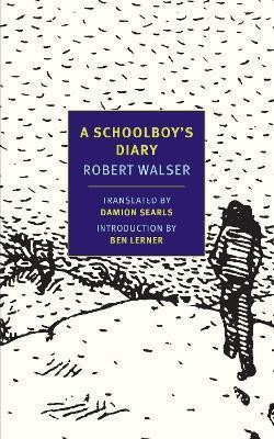 A Schoolboy's Diary(English, Paperback, Walser Robert)