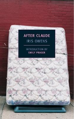 After Claude(English, Paperback, Owen Iris)