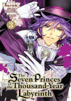 The Seven Princes of the Thousand-Year Labyrinth Vol. 3(English, Paperback, Yu Aikawa)