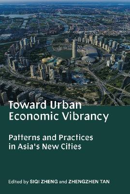 Toward Urban Economic Vibrancy(English, Paperback, unknown)