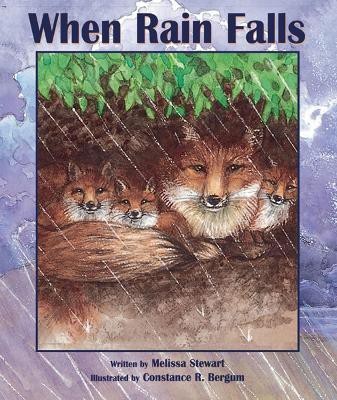 When Rain Falls(English, Hardcover, Stewart Melissa)