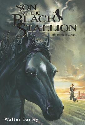 Son of the Black Stallion(English, Paperback, Farley Walter)