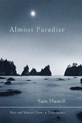 Almost Paradise(English, Paperback, Hamill Sam)