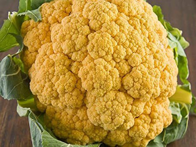CYBEXIS Calisto Cauliflower Variety2000 Seeds Seed(2000 per packet)