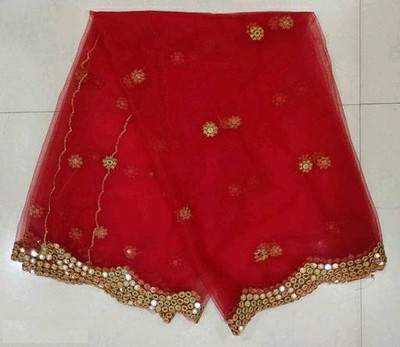 S And H Designer Net Embellished Women Dupatta