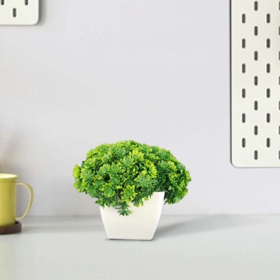 TrustBasket Artificial Potted Mushroom Shrub Green Artificial Plant  with Pot(11 cm, Green, White)