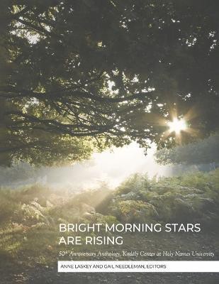 BRIGHT MORNING STARS ARE RISING(English, Paperback, unknown)