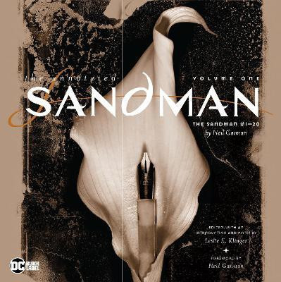 Annotated Sandman Vol. 1 (2022 edition)(English, Hardcover, Gaiman Neil)