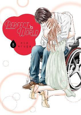 Perfect World 8(English, Paperback, Aruga Rie)