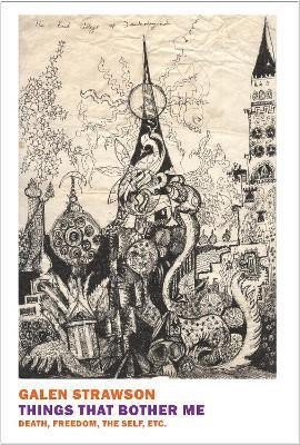 Things That Bother Me(English, Paperback, Strawson Galen)