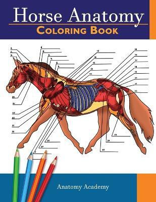 Horse Anatomy(English, Paperback, Anatomy Academy)