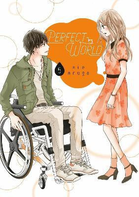 Perfect World 5(English, Paperback, Aruga Rie)