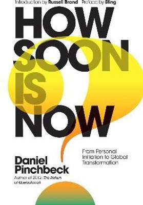 How Soon is Now(English, Hardcover, Pinchbeck Daniel)