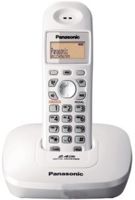 Panasonic KX-TG3611SXS Cordless Landline Phone(Silver)