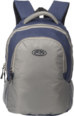 

Cosmus 15.6 inch Laptop Backpack(Blue, Grey)