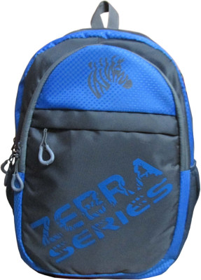

ehuntz 16 inch Expandable Laptop Backpack(Blue, Grey)