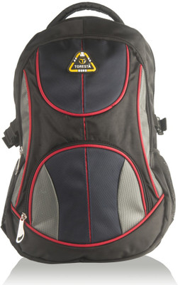 

Toresta 15 inch Laptop Backpack(Multicolor), Blue;grey;red