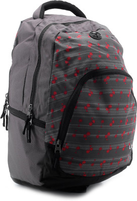

Lavie 14 inch Laptop Backpack(Grey)