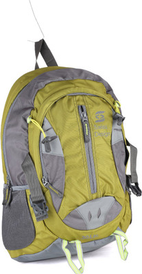 

Swiss Design 12 inch Laptop Backpack(Grey, Green)