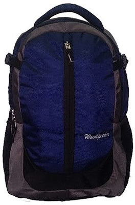 

Wood Pecker 17 inch Laptop Backpack(Blue)