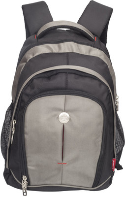 

Cosmus 17 inch Laptop Backpack(Black, Grey)