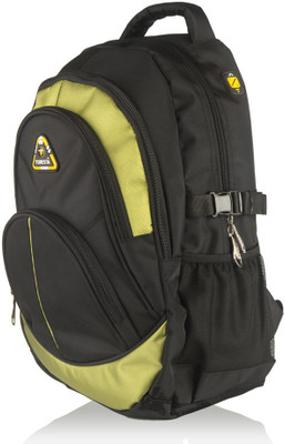 

Toresta 15 inch Laptop Backpack(Multicolor), Black;green