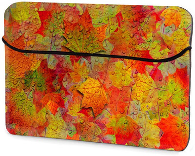 

Theskinmantra 13 inch Expandable Sleeve/Slip Case(Multicolor)