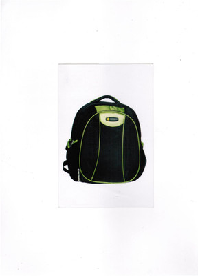 

Aristo Lifestyle 15 inch Laptop Backpack(Black, Red, Green), Black & green;green;red