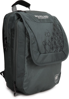 

Woodland 17 inch Laptop Backpack(Grey, Black)