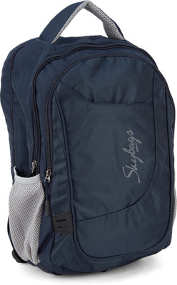 

Skybags 11 inch Laptop Backpack(Grey, Blue)