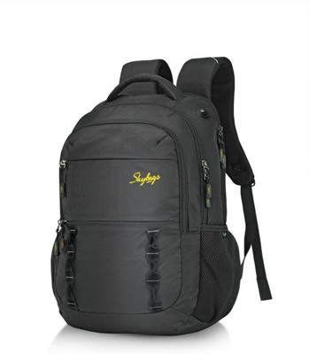 

Skybags 17 inch Laptop Backpack(Black)
