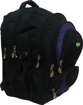

Nl Bags Fivepocketlap 25 L Big Laptop Backpack(Multicolor), Black and violet