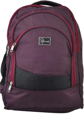 

Hawai 15.6 inch Laptop Backpack(Purple), Dark purple-01
