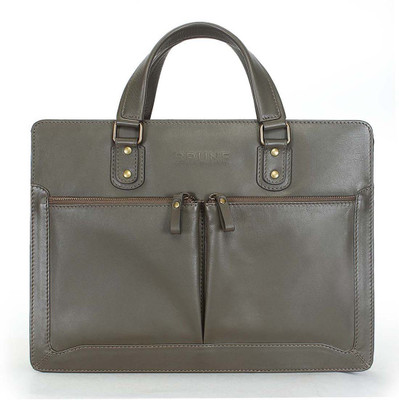

Brune 15 inch Laptop Messenger Bag(Grey), Olive