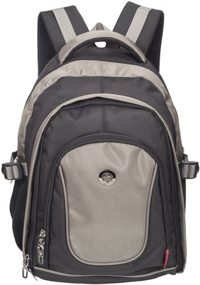 

Cosmus 17 inch Laptop Backpack(Black, Grey)