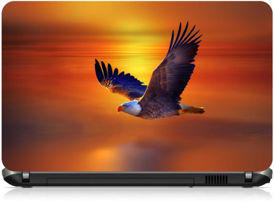 

Box 18 Flying Eagle6681647 Vinyl Laptop Decal 15.6