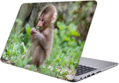 

Printclub Multicolor-057 Vinyl Laptop Decal 15.6