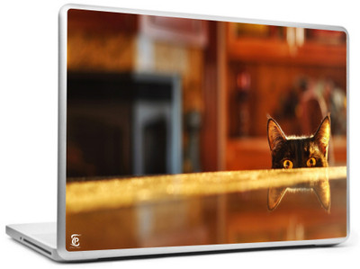 

Print Shapes Scary cat Half face Vinyl Laptop Decal 15.6