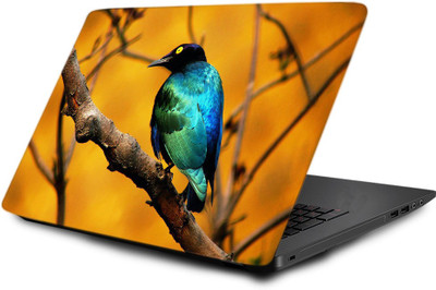 

Printclub Laptop Skin decal 15.6 inch- Laptop skin-529 Vinyl Laptop Decal 15.6