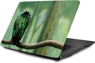 

Printclub Laptop Skin decal 15.6 inch- Laptop skin-502 Vinyl Laptop Decal 15.6