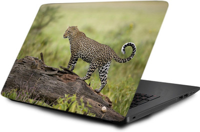 

Printclub Laptop Skin decal 15.6 inch- Laptop skin-738 Vinyl Laptop Decal 15.6