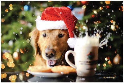 

Pics And You Pics And You Christmas Themed 252 Laptop Skin Vinyl Laptop Decal 15.6