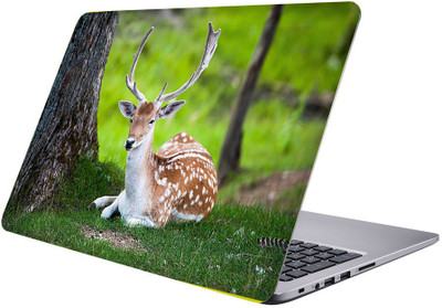 

Printclub Designer-109 Vinyl Laptop Decal 15.6