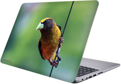 

Printclub Multicolor-381 Vinyl Laptop Decal 15.6