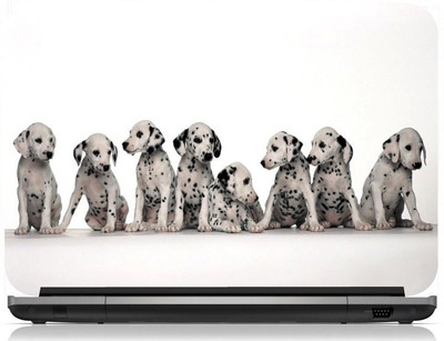 

Box 18 Pet Dog'S1365 Vinyl Laptop Decal 15.6